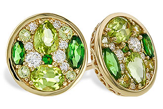 A310-94568: EARR 1.03 TW SEMI-PRECIOUS (TSAV, PER) 1.19 TGW