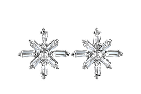 E226-40913: EARR .22 TW BAGUETTES