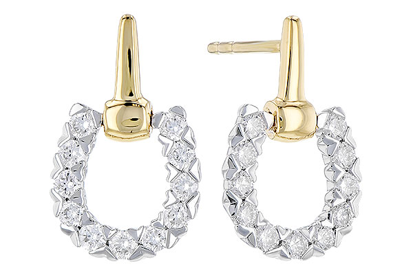 E310-00058: EARR .50 TW