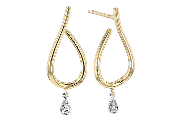 G309-15494: EARR .05 BR