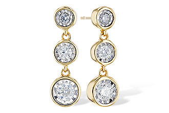 H310-00976: EARR .20 TW