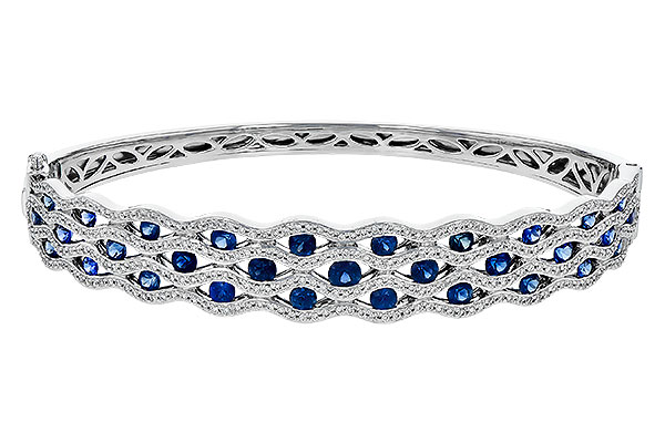 M224-55467: BANGLE 2.34 SAPP 3.14 TGW